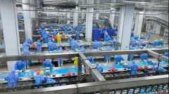 是简单地正在养殖后期不再给鸡只利用抗生素