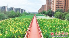 <b>同步打制海绵城市</b>